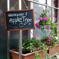 Apple Tree Guest house