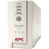 APC Back-UPS 300 Watts /500 VA Input 230V /Output 230V