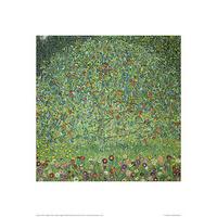 Apple Tree By Gustav Klimt