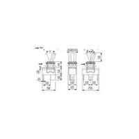 APEM 1019 1019 / 10190000 3A Tog...