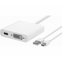 Apple Adapter Mini DisplayPort -> Dual Link DVI-Adapter (MB571Z/A)