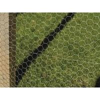 Apollo 10m 1200 x 25mm Wire Netting Galvanised