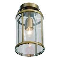 Appealing Pimpernel ceiling light