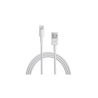 Apple Lightning to USB Cable.