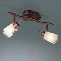 appealing ceiling lamp nori 2 bulb