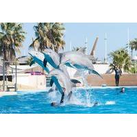 Aquopolis Costa Dorada - Group Ticket from 20 People