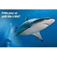 Aquarium de Paris - 4 Person Pass