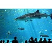 Aquarium de Paris + Montparnasse Tower