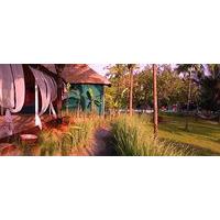 Aquatica Earth-Friendly Resort