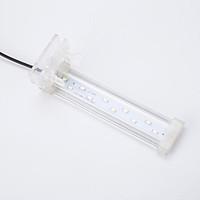 Aquarium LED Lighting White 8W 26cm LED Lamp 220V