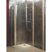 Aquadry Walk-In Shower Screen (W)1050mm