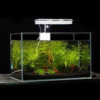 Aquarium LED Lighting White Blue With Switch(es) LED Lamp AC 100-240V