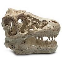 Aquarium Decoration Resin Dinosaur Skull Shape Fish Tank Decor