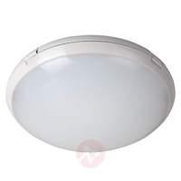Aquaround  LED ceiling light with IP code IP65