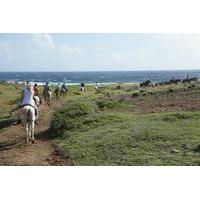 Aruba Horseback Riding Tour to Hidden Lagoon