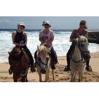 Aruba Horseback Riding Tour to Urirama Cove
