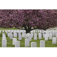 Arlington National Cemetery Hop-On Hop-Off Tour