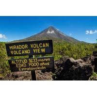 Arenal Volcano National Park Walk with Optional Hot Springs