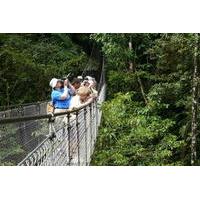 Arenal Hanging Bridges in Mistico Park