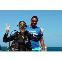 Aruba Discover Scuba Diving Course