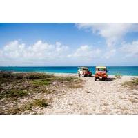 aruba off road island tour including natural pool and baby beach