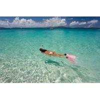 Aruba Palm Pleasure Snorkel Adve...