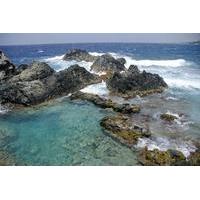 Aruba Shore Excursion: 4x4 Tour and Natural Pool Snorkeling