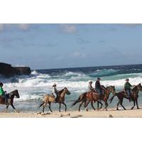 aruba shore excursion natural pool swim horseback riding