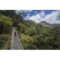 Arenal Hanging Bridges Hiking Tour