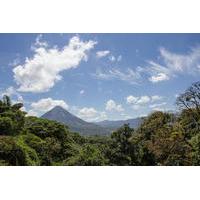 Arenal Hanging Bridges Tour