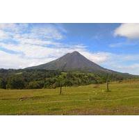 Arenal Volcano Day Tour From Guanacaste