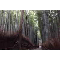 Arashiyama and Sagano Walking Food Tour