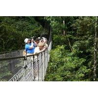 Arenal Hanging Bridges- Eco Farm and Luxury Hot Springs from San Jose