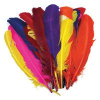 Artstraws Large Quill Style Feathers - 30cm approx, Assorted Colours