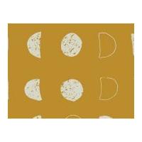 Art Gallery Fabrics Lunation Bri...