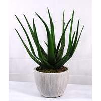 Artificial Plant Potted Aloe