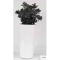 Artificial Plant Potted Boxwood