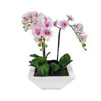 Artificial Plant Potted Orchid