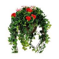 Artificial Plant Geranium Basket