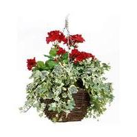 Artificial Plant Geranium Basket