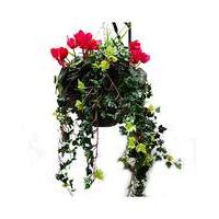 Artificial Plant Cyclamen Basket