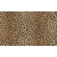 arthouse wallpapers fierce amber 618200