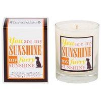 aroma paws candle my furry sunshine 8oz 60hr burn time