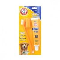 arm hammer dog toothpaste and toothbrush set