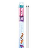 Arcadia T8 24 inch 18w Marine White Tube