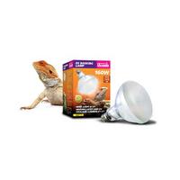 arcadia d3 uv basking lamp 100 watt