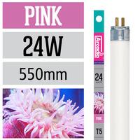 Arcadia Marine Pink T5 22inch 24w