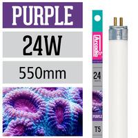 arcadia marine purple t5 22inch 24w