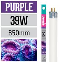 Arcadia Marine Purple T5 34inch 39w