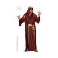 Arab Sheik Costume (l) Black/brown/green (robe Belt Hat)